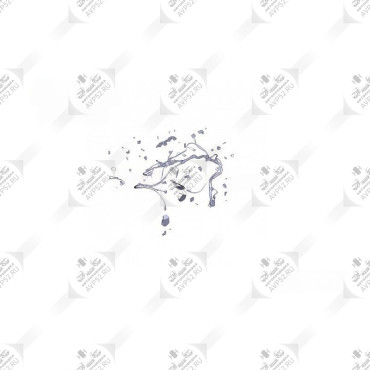 Жгут двигателя ЯМЗ-53445, Газон-Некст